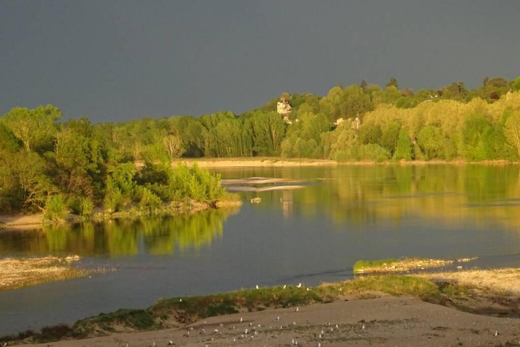 Amalouyse Chambre De Charme Au Coeur Des Chateaux De La Loire 몬트리오스수르로아 외부 사진